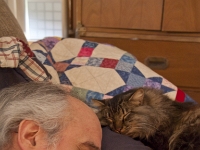 Hermes and Onjay sleep on couch P2050533Hermes and Onjay sleep on couch P2050533  Hermes and Onjay nap.